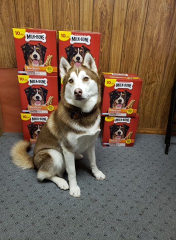 Pet Supply Store «Pet Supplies Plus», reviews and photos, 3984 Seneca St, West Seneca, NY 14224, USA