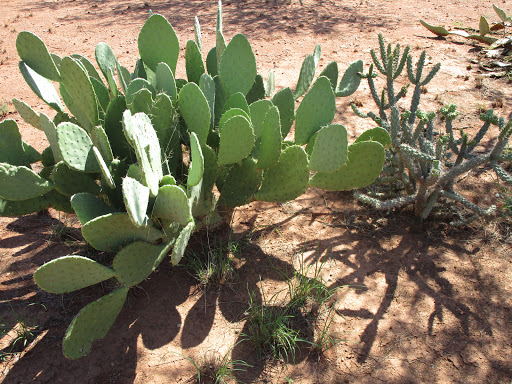 Mobile Home Park «Twin Buttes Mobile Home & RV Court», reviews and photos, 4027 N Twin Buttes Ct, Douglas, AZ 85607, USA