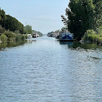 Photo n° 4 de l'avis de Jérôme. fait le 28/05/2023 à 09:29 pour Compagnie des bateaux d Aigues-Mortes Croisière de Camargue à Aigues-Mortes