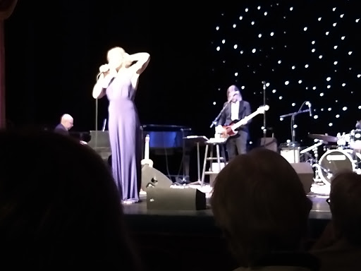 Performing Arts Theater «Sheldon Theatre», reviews and photos, 443 W 3rd St, Red Wing, MN 55066, USA