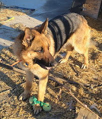 Taylor Brothers Towing - Photo 8 - Car repair in Springfield, IL, Springfield