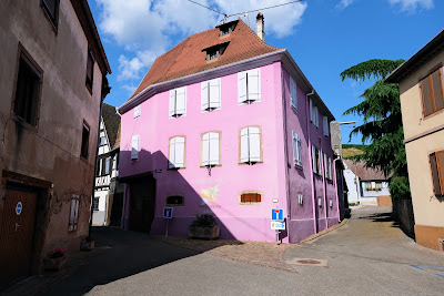 Vins d’Alsace Aimé CARL et fils à Dambach-la-ville