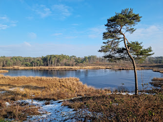 Hatertse en Overasseltse Vennen