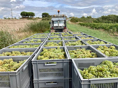 Domaine des Roseraies - Famille CRASNIER à Val-du-Layon