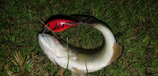 Office Supply Store «Office Depot», reviews and photos, 8678 US Highway 17 Bypass South #2, Myrtle Beach, SC 29588, USA