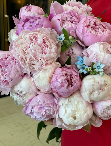 Florist «Vienna Florist & Gifts», reviews and photos, 431 Maple Ave W, Vienna, VA 22180, USA