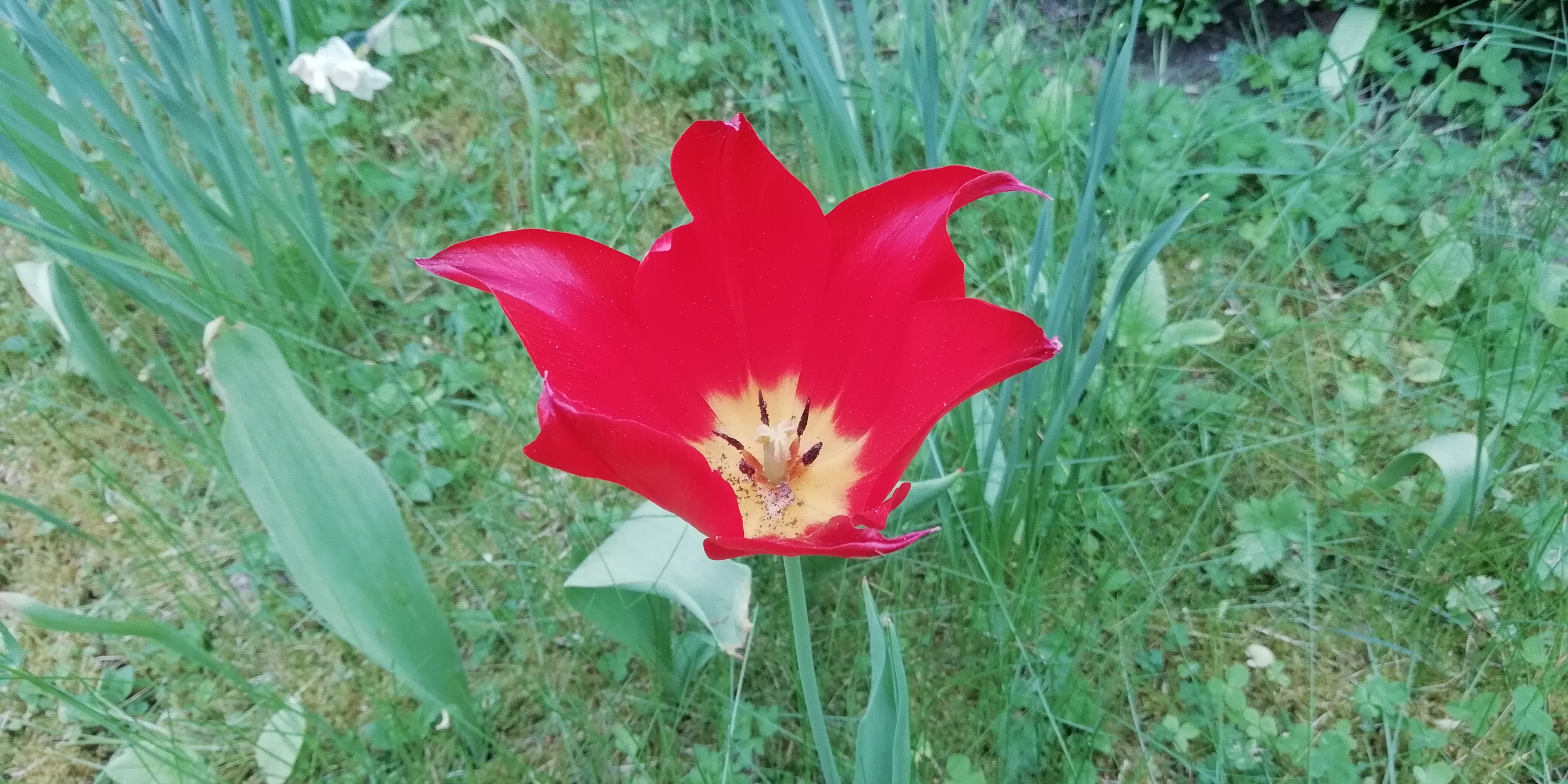 Photo n° 3 de l'avis de Gaele. fait le 29/04/2018 à 20:30