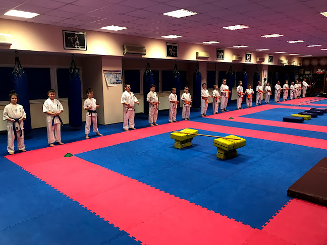 SHOGUN Harcművészeti Központ (Shinkyokushin karate) - Edzőterem