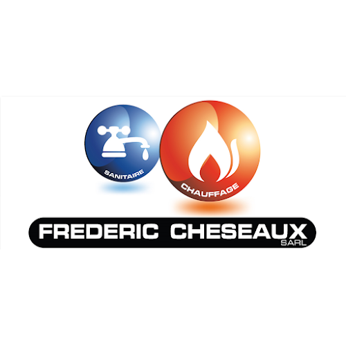 Kommentare und Rezensionen über Frédéric Cheseaux Sàrl