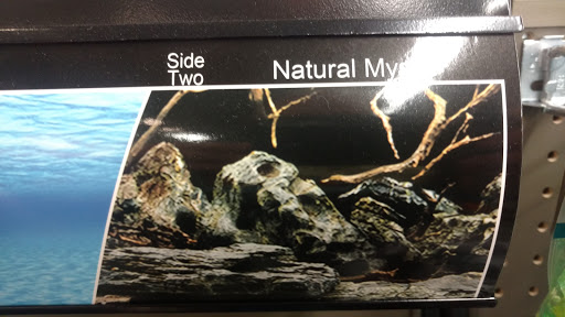 Pet Supply Store «Petco Animal Supplies», reviews and photos, 1080 S Main St, Kernersville, NC 27284, USA