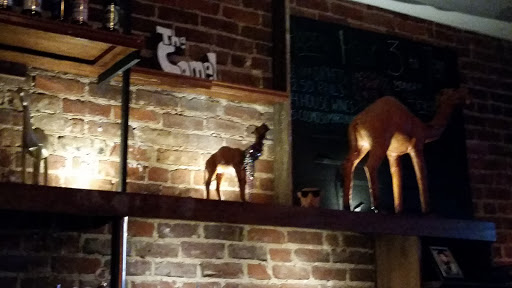 Bar & Grill «The Camel», reviews and photos, 1621 W Broad St, Richmond, VA 23220, USA