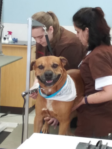 Pet Supply Store «Petco Animal Supplies», reviews and photos, 13127 N Dale Mabry Hwy, Tampa, FL 33618, USA