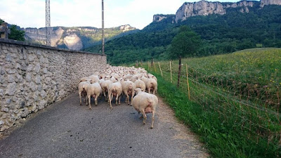 La Bergerie de la Rouye à Bouvante