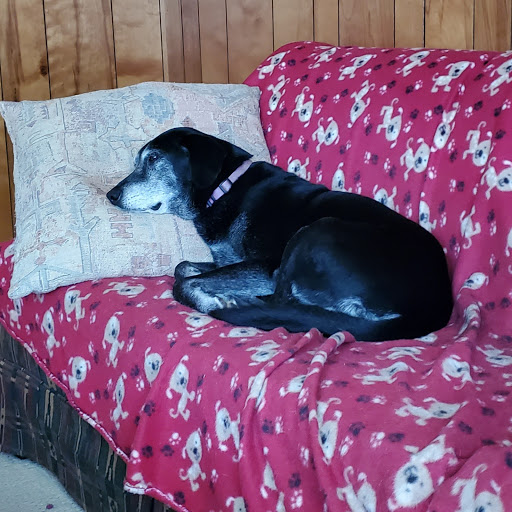 HVAC Contractor «Roscoe Brown, Inc.», reviews and photos, 959 N Thompson Ln, Murfreesboro, TN 37129, USA