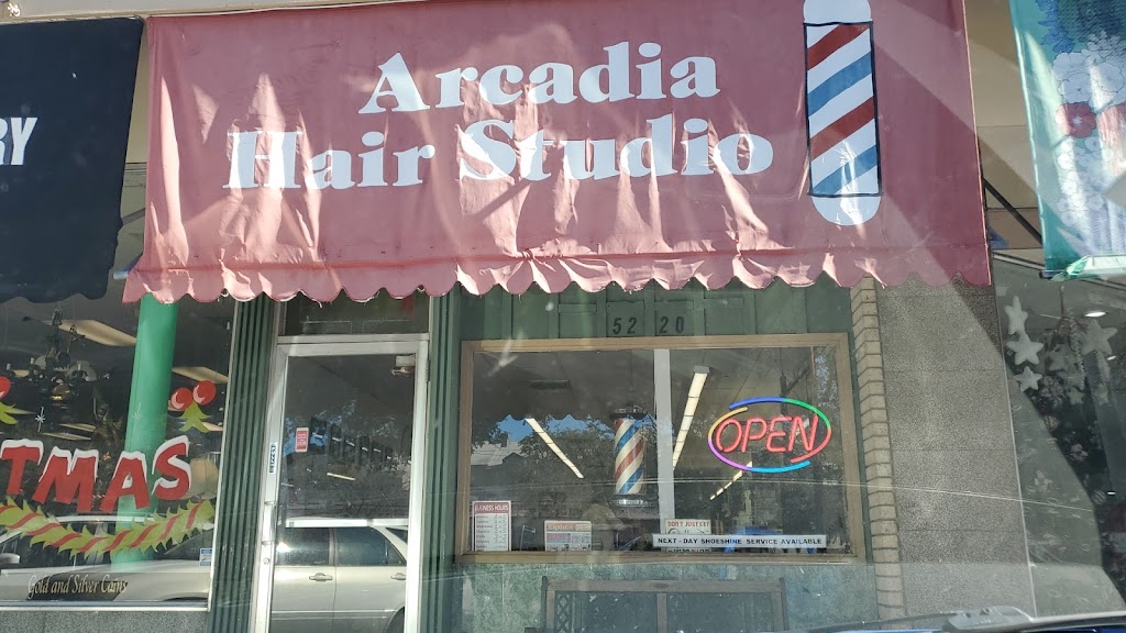 Arcadia Hair Studio 78209