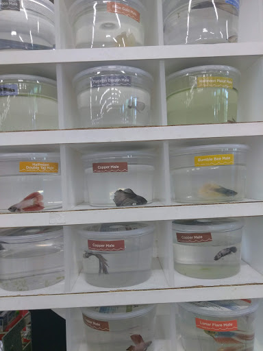 Pet Supply Store «Petco Animal Supplies», reviews and photos, 520 Woodside Rd, Redwood City, CA 94061, USA