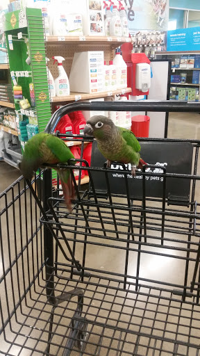 Pet Supply Store «Petco Animal Supplies», reviews and photos, 495 E Lincoln Hwy, New Lenox, IL 60451, USA