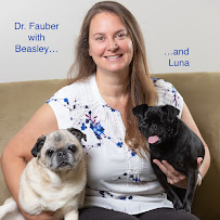 CARE | Charlotte Animal Referral & Emergency - Photo 4 - Car repair in Charlotte, NC, Gastonia