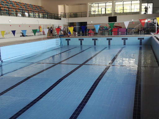 Swimming courses for babies in Lisbon