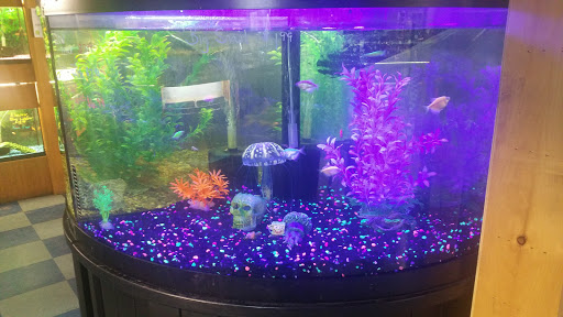 Pet Supply Store «CountryMax - Brockport», reviews and photos, 4875 Lake Rd N, Brockport, NY 14420, USA