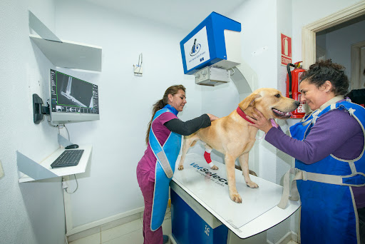 Jara Veterinarios en Moralzarzal