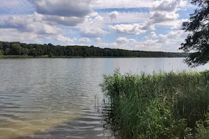 Jezioro Dymaczewskie image