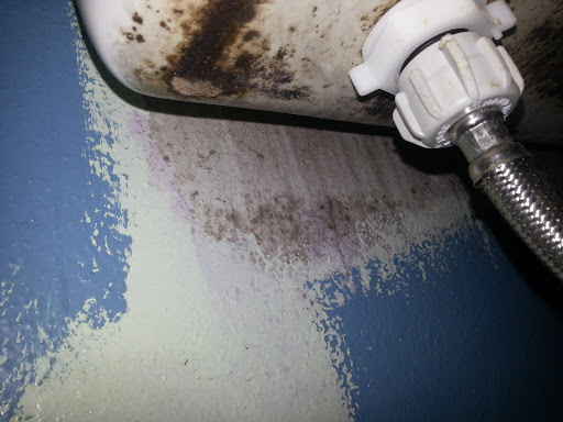 Home Inspector «Environix Testing & Remediation», reviews and photos