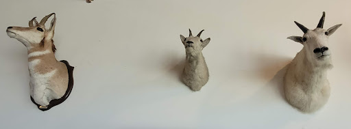 Museum «Lewis & Clark Boat House», reviews and photos, 1050 S Riverside Dr, St Charles, MO 63301, USA