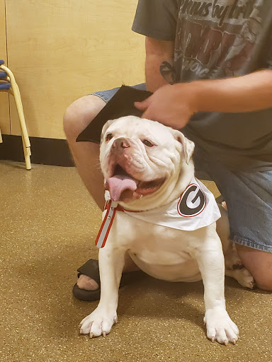 Pet Supply Store «PetSmart», reviews and photos, 916 Loganville Hwy, Bethlehem, GA 30620, USA