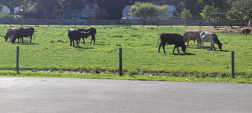 Butcher Shop «Duma Meats Inc», reviews and photos, 857 Randolph Rd, Mogadore, OH 44260, USA