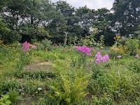 諏訪浅川公園