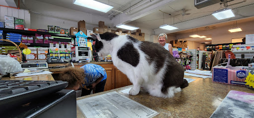 Pet Trainer «Healthy Pet Center», reviews and photos, 154 Delaware Ave, Delmar, NY 12054, USA