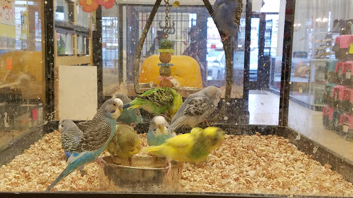 Pet Store «Pet Luv Pet Center», reviews and photos, 8057 S Cicero Ave, Chicago, IL 60652, USA