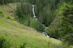 Elk Creek Falls Trailhead and Picnic Area image