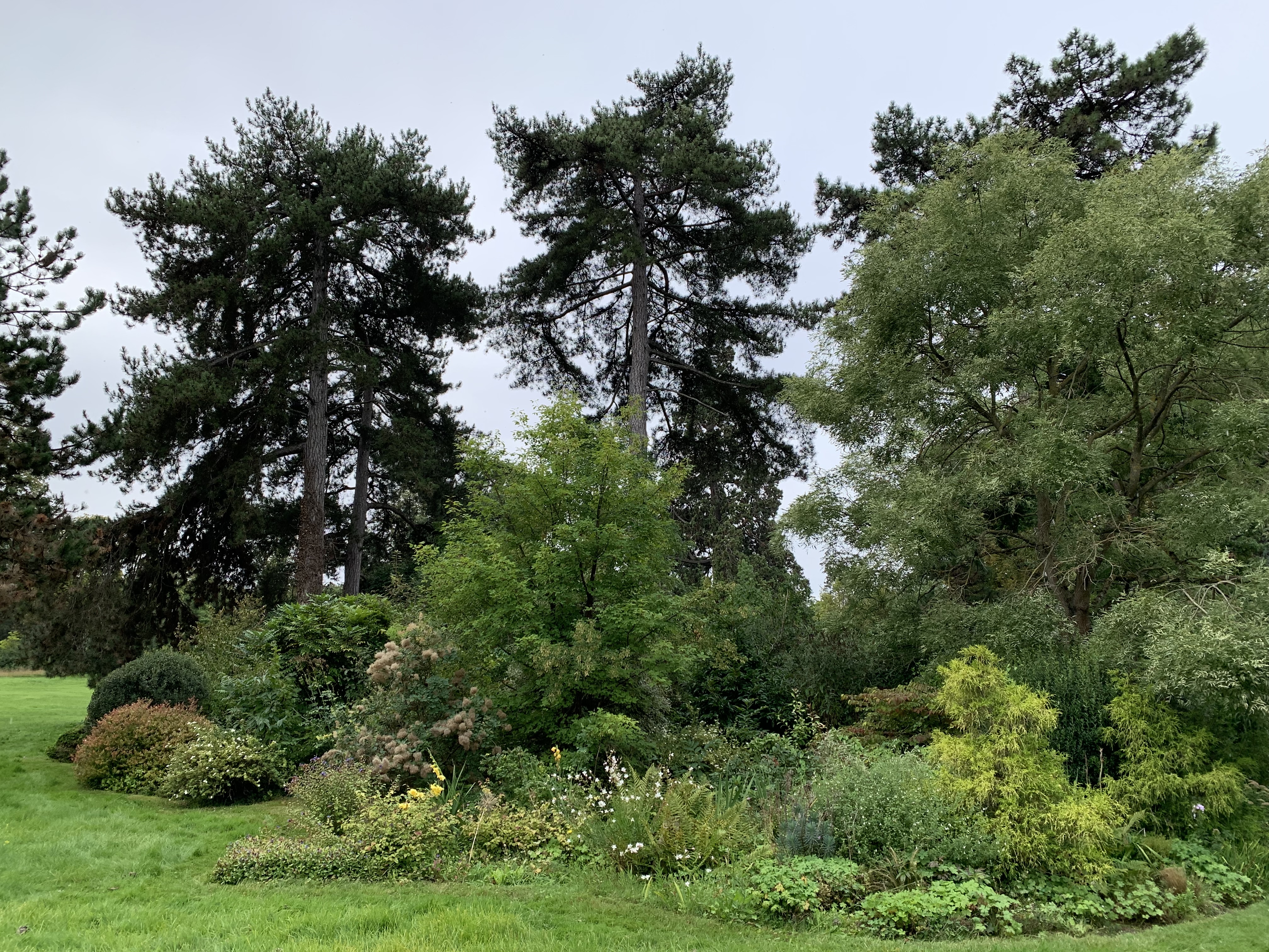 Photo n° 8 de l'avis de Girin.M fait le 22/10/2023 à 15:20