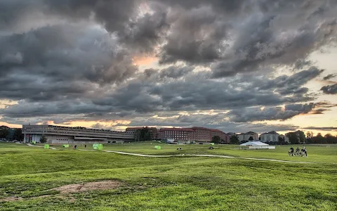 Gärdets sports fields image