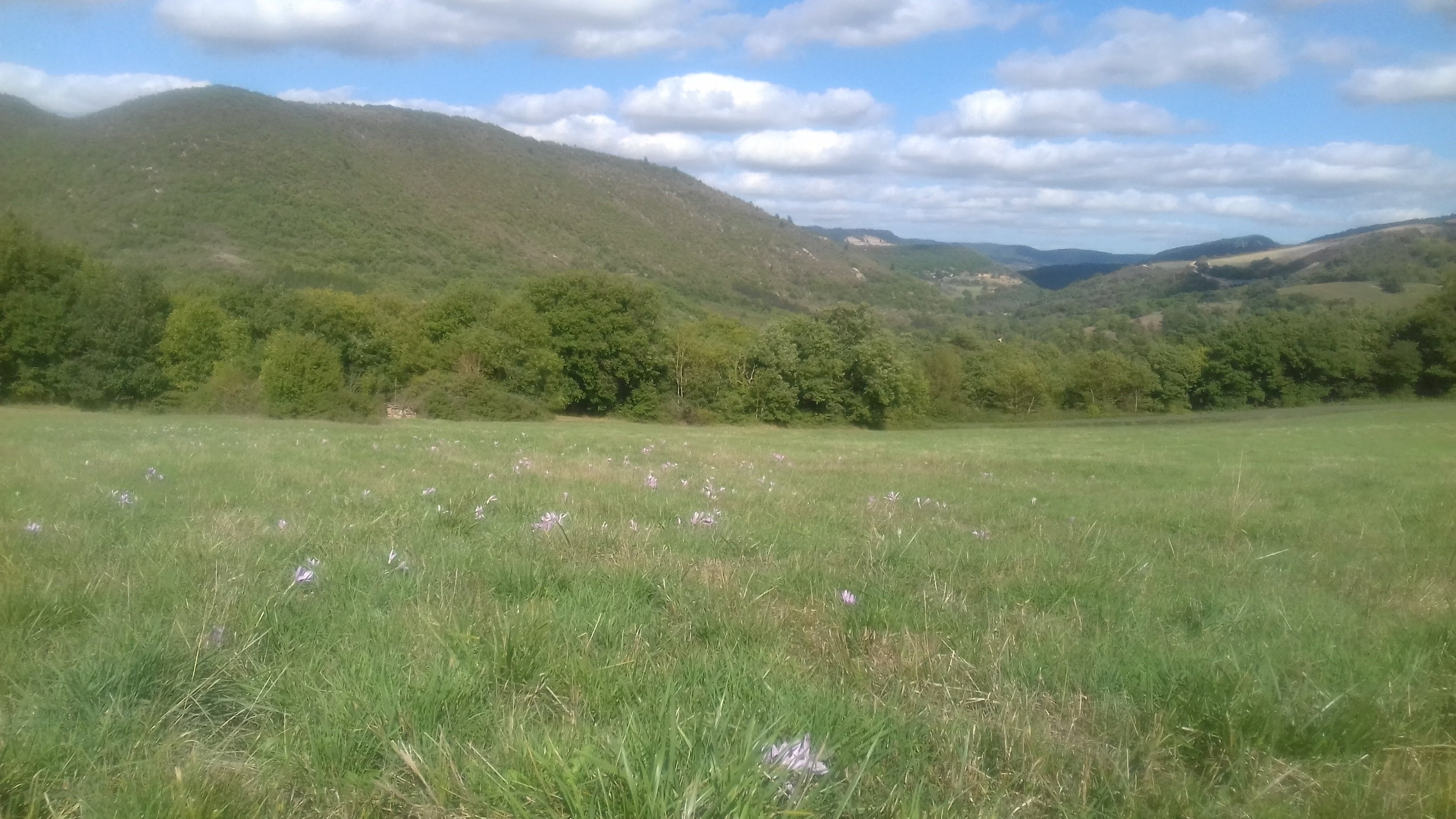 Photo n° 11 de l'avis de Isabelle.u fait le 29/09/2019 à 00:38