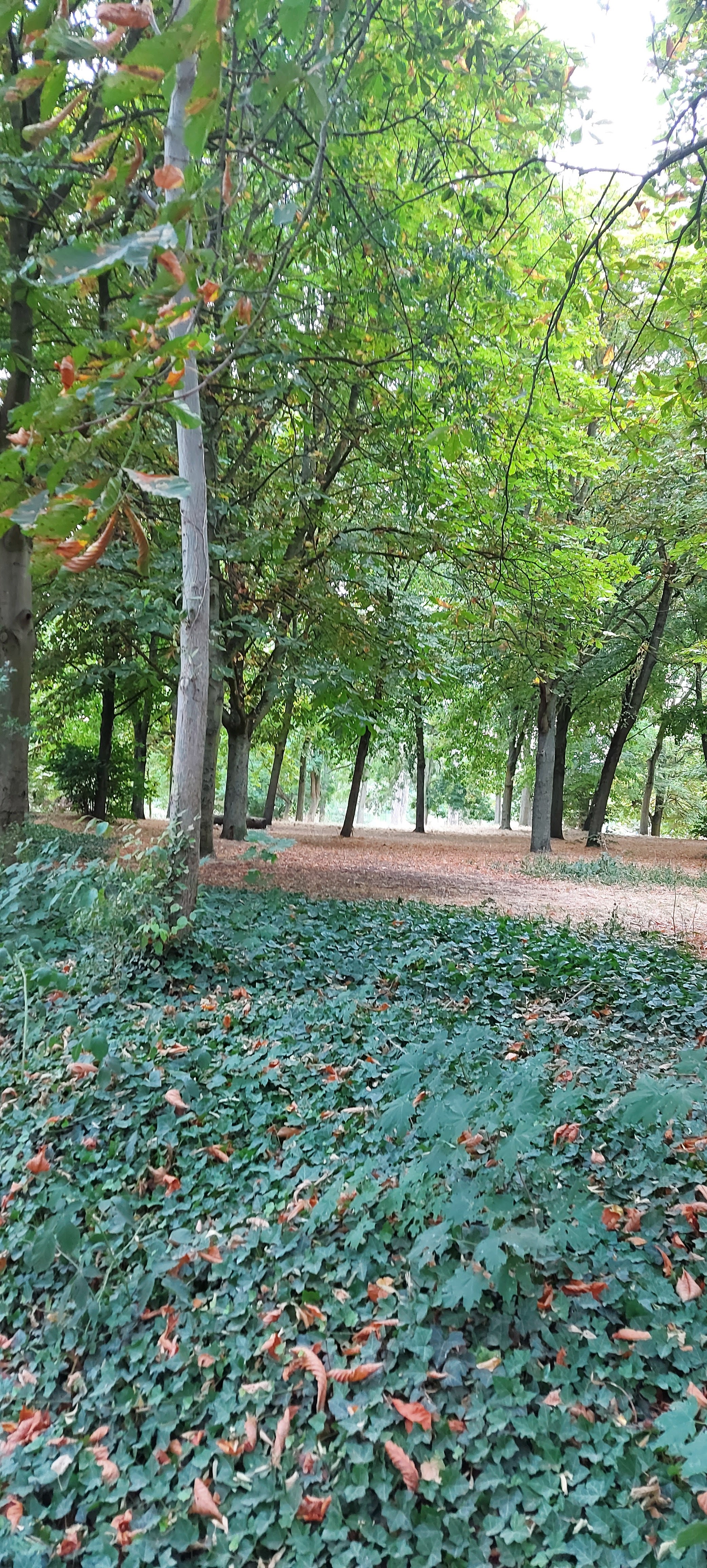 Photo n° 3 de l'avis de unmecdesannees80. fait le 20/07/2020 à 05:32