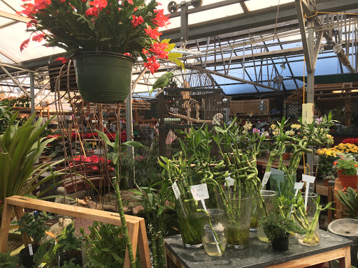 Plant Nursery «Sturtz & Copeland Florist & Greenhouses», reviews and photos, 2851 Valmont Rd, Boulder, CO 80301, USA
