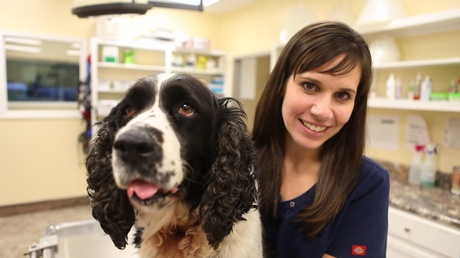 Singing River Animal Clinic image