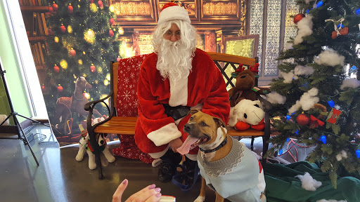 Pet Supply Store «Pet Supplies Plus», reviews and photos, 9430 W 159th St, Orland Park, IL 60467, USA