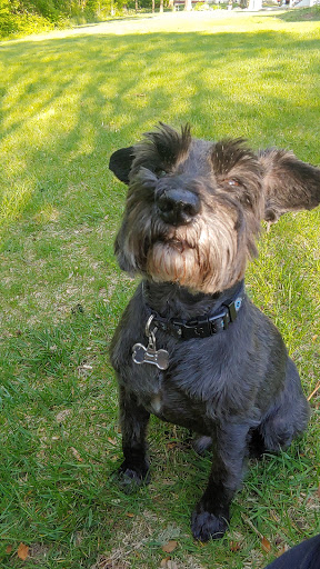 Pet Supply Store «PetSmart», reviews and photos, 2000 Clements Bridge Rd, Woodbury, NJ 08096, USA