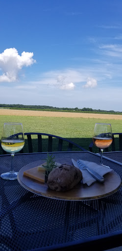 Vineyard «Chatham Vineyards & Winery», reviews and photos, 9232 Chatham Rd, Machipongo, VA 23405, USA