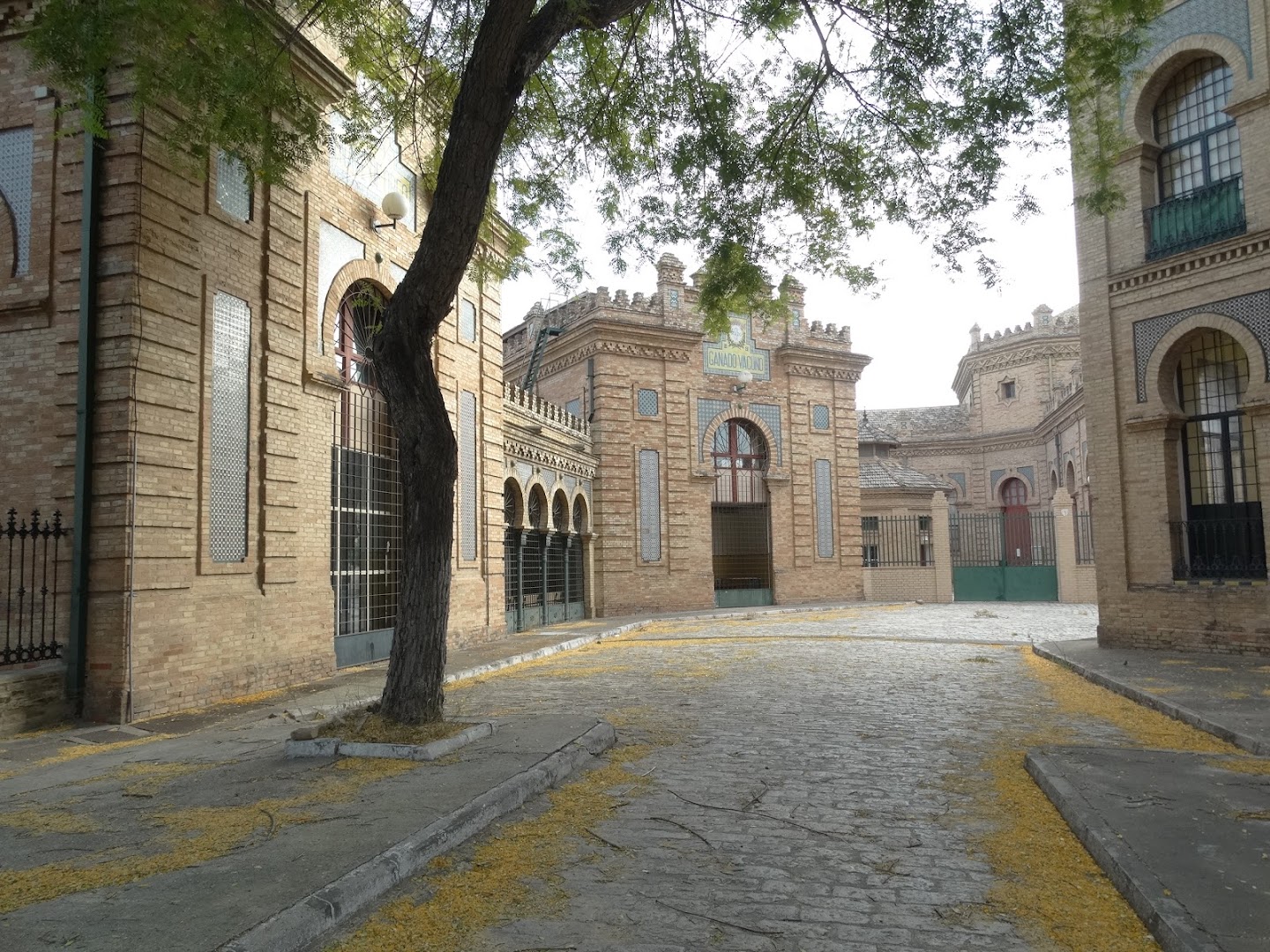 Conservatorio Profesional de Música Francisco Guerrero