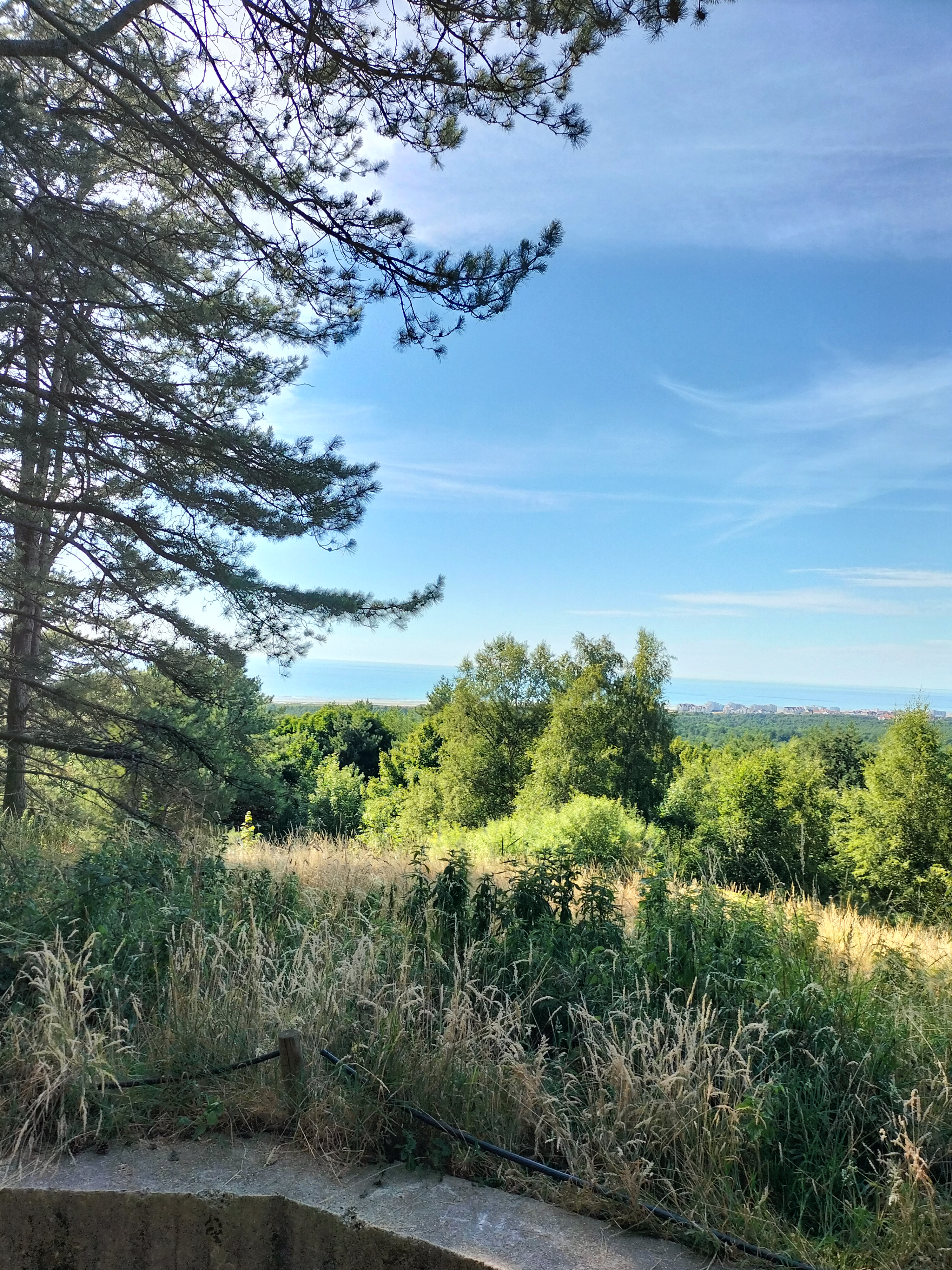 Photo n° 6 de l'avis de Magalie.u fait le 30/07/2022 à 06:08