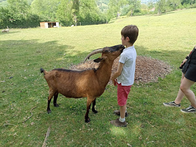 Ecole Laudato Si (Saint Nicolas de Briennon) à Briennon