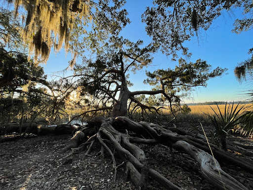 Skidaway Island State Park image 7