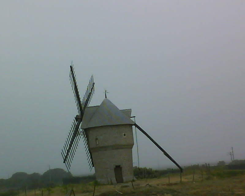 Photo n° 1 de l'avis de Didier.g fait le 14/02/2021 à 17:47