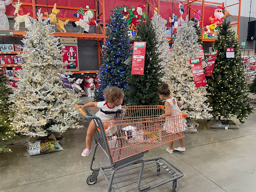 Home Improvement Store «The Home Depot», reviews and photos, 5475 University Pkwy, University Park, FL 34201, USA