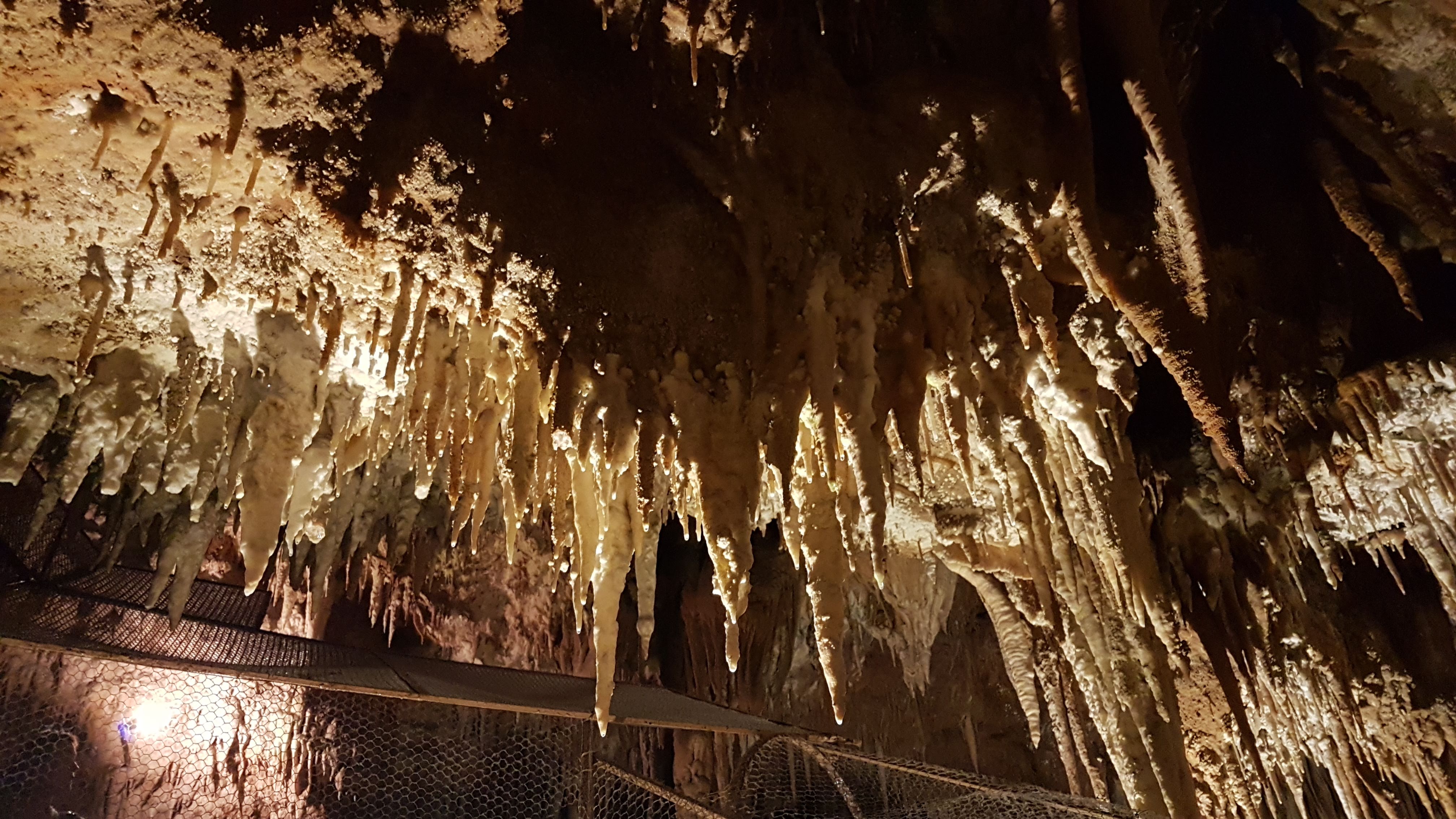Photo n° 2 de l'avis de Philippe.l fait le 01/08/2018 à 20:49